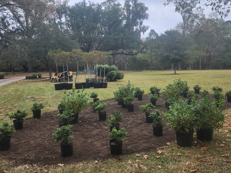 Young trees in black pots planted in a nursery field with playground equipment and trees in the background