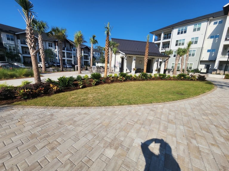 Modern residential complex courtyard with paved walkway, manicured lawn, palm trees, and multi-story apartment buildings under clear blue sky