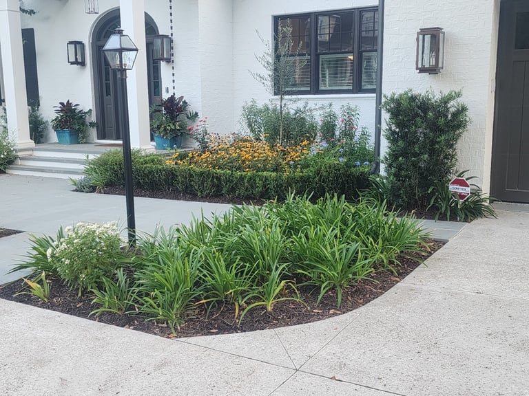 Front entrance of white home with landscaped garden beds containing green plants, black street lamp, and arched doorway